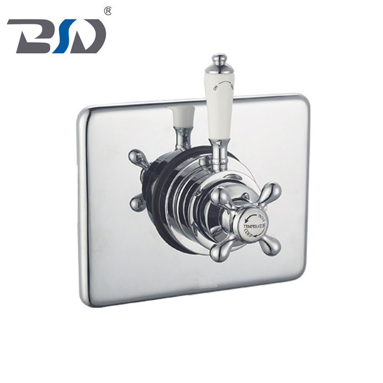 Traditional Bathroom Luxury Concentric Thermostatic Shower Mixer Valve Concealed/Exposed With Square Backplate